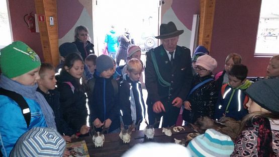 Grafika #7: Ożywić pola 2014- rok trznadla