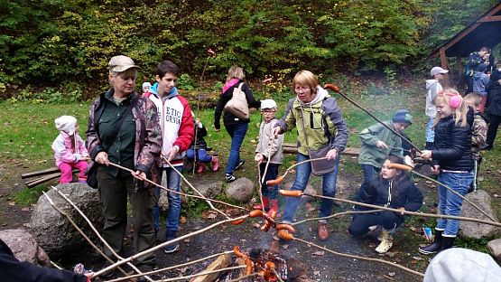 Grafika #13: Ożywić pola 2014- rok trznadla