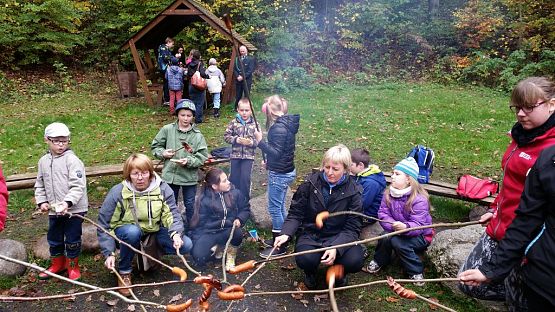 Grafika #15: Ożywić pola 2014- rok trznadla