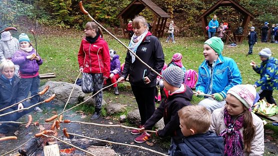 Grafika #16: Ożywić pola 2014- rok trznadla