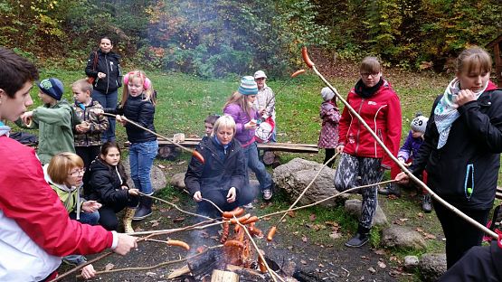 Grafika #17: Ożywić pola 2014- rok trznadla