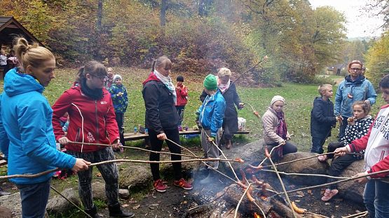 Grafika #19: Ożywić pola 2014- rok trznadla