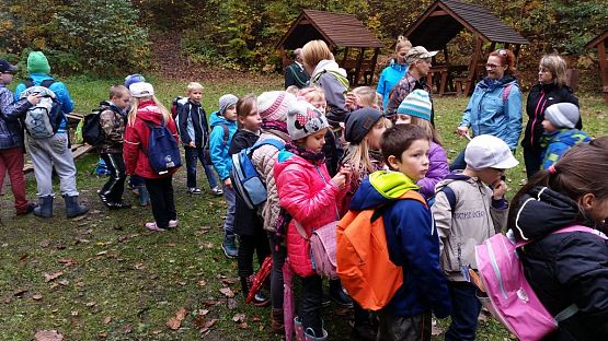 Grafika #22: Ożywić pola 2014- rok trznadla