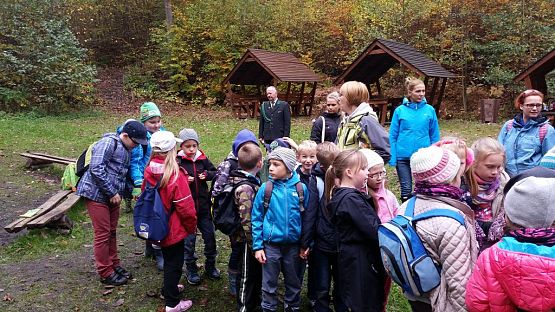 Grafika #23: Ożywić pola 2014- rok trznadla