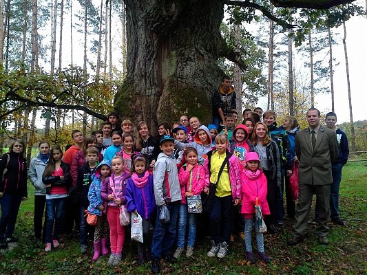 Grafika #0: Lekcja w terenie