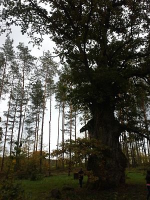 Grafika #2: Lekcja w terenie