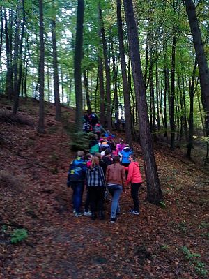 Grafika #6: Lekcja w terenie