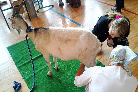 Grafika #17: "Mleczna droga"