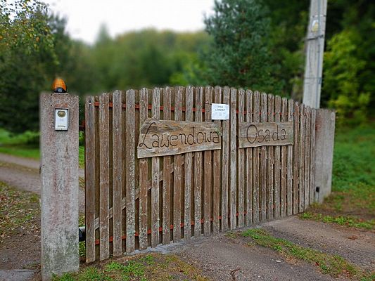 Grafika 1: Wycieczka do Lawendowej Osady w Przywidzu