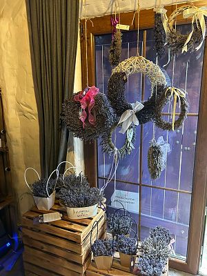 Grafika 2: Wycieczka do Lawendowej Osady w Przywidzu