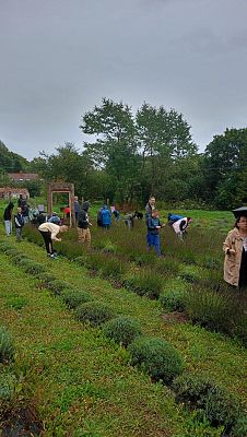 Grafika 4: Wycieczka do Lawendowej Osady w Przywidzu