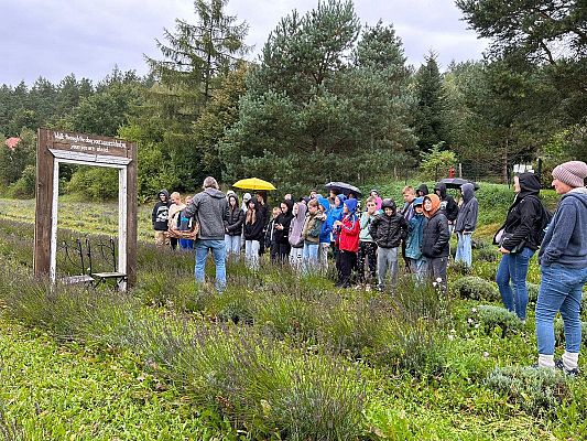 Grafika 5: Wycieczka do Lawendowej Osady w Przywidzu