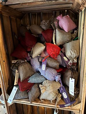 Grafika 11: Wycieczka do Lawendowej Osady w Przywidzu