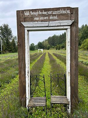 Grafika 12: Wycieczka do Lawendowej Osady w Przywidzu