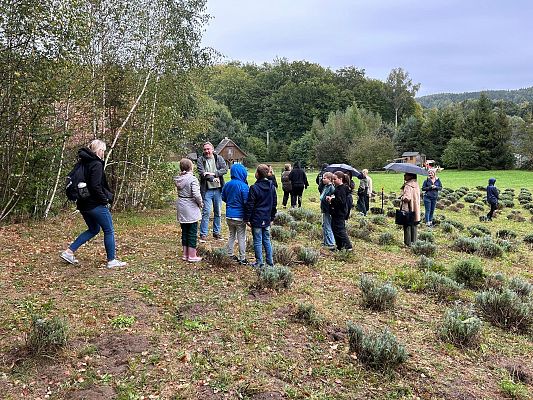 Grafika 14: Wycieczka do Lawendowej Osady w Przywidzu