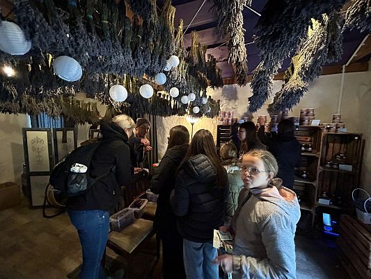 Grafika 17: Wycieczka do Lawendowej Osady w Przywidzu