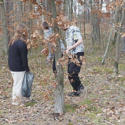 Grafika 2: Leśna Ścieżka Zdrowia- aktywnie