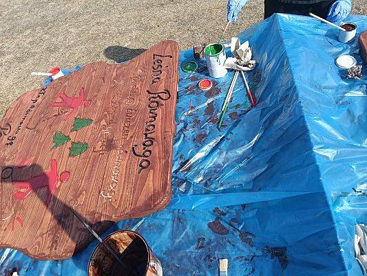 Grafika 4: Leśna Ścieżka Zdrowia- aktywnie