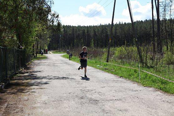 Grafika 390: III Bieg Leśnika